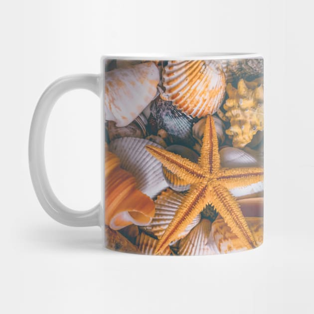 Starfish Beach Summer Travel Shells by eleonoraingrid